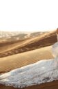 limitless-2022-Epica